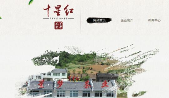 湖北星梦茶叶股份有限责任公司网站建设开发